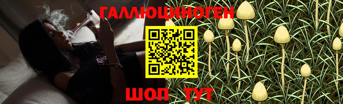 Псилоцибиновые грибы GOLDEN TEACHER Мыски