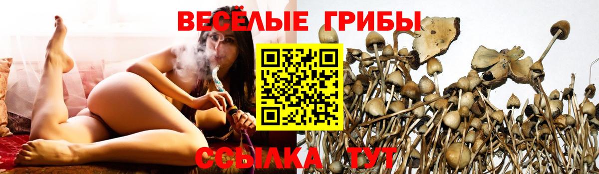 Галлюциногенные грибы Psilocybe  Вход с VPN  как найти   Галлюциногенные грибы мухоморы  Мыски 